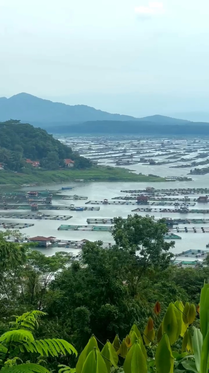 Ya allah sakirana ieu cocoba teh masih manjang dini diri abdi, abdi nyuhunkeun ieu awak teh di sehat keun terus, lantaran aya paniatan nu can ka cumponan  #maniis #purwakarta #bendungancirata #plumbon #cianjurjawabarat #purwakarta_istimewa #wadukciratapuwakarta #fyppppppppppppppppppppppp 