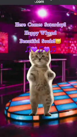 #saturday  #happy  #weekend vibes #dance  #80s Music #generationx  #fyppppppppppppppppppppppp  #Meme #MemeCut #CapCut 