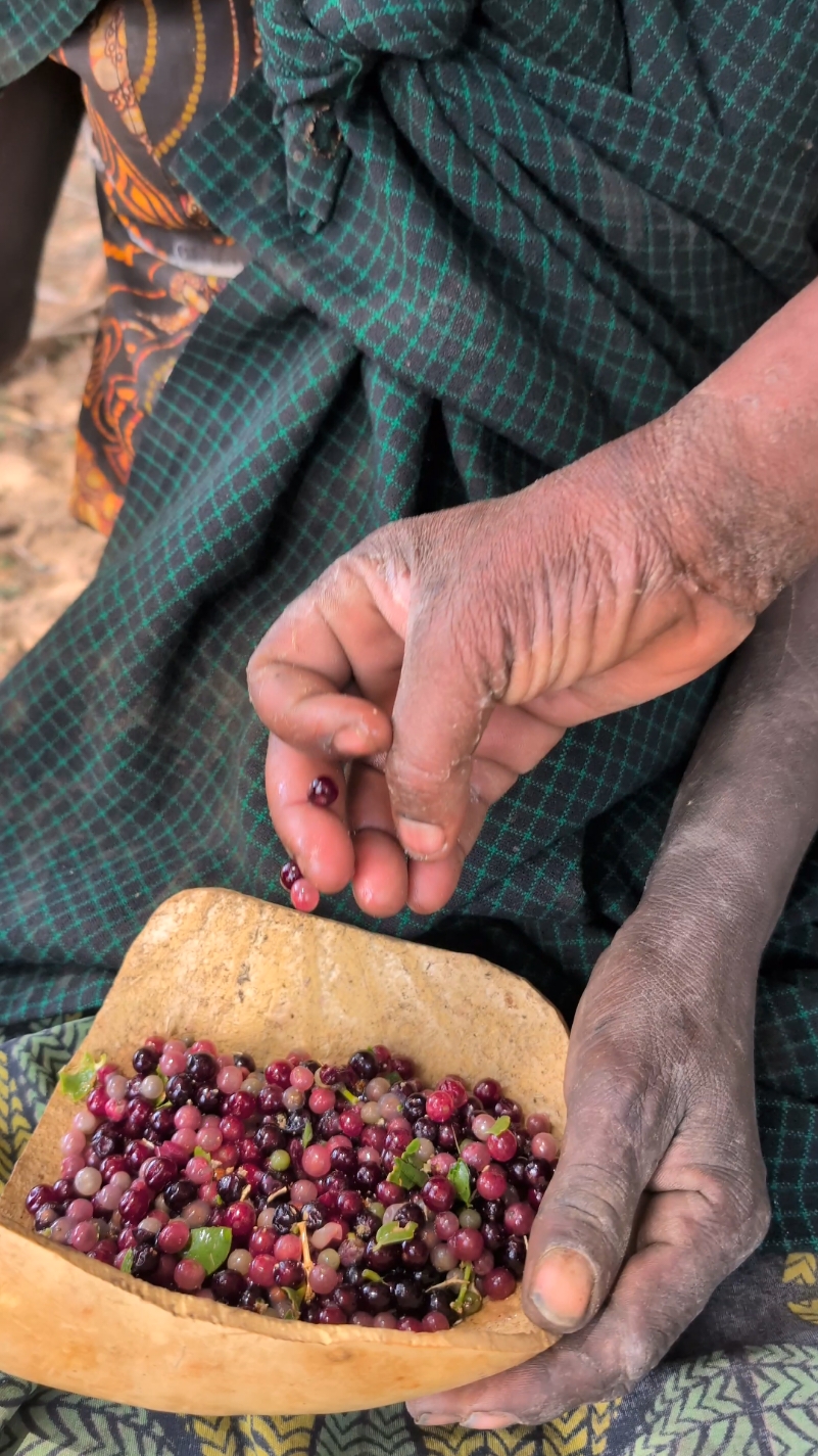 What Hadza eats for Breakfast today 😋‼️😲 Berries is one of best food bushmen eats for survival #tiktokindia #hadzabetribe #africastories #USA #UK 