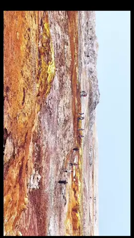 🌋 Endemic Beauty Meets Untamed Terrain 🌋 In the heart of Afar, where Earth’s raw power meets surreal landscapes, witness the dramatic journey of survival and resilience. Walking onto sulfur-laden grounds, life here dances on the edge of nature’s extremes. 📍 Dallol Depression, Afar Region, Ethiopia 🎥 Captured with precision from above, the striking colors and textures of this unique landscape remind us of Earth’s untamed beauty. #DallolDepression #AfarRegion #EthiopiaUncovered #EndemicLandscapes #SulfurFields #DroneShot #VisitEthiopia #EarthsExtremes #NaturePhotography