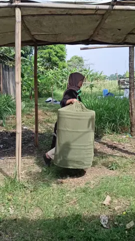 info yg bisa nonton dangdutan sambil bawa murai,biar bisa joged murainya ga kondangan Mulu #muraibatuindonesia #viral #kicaumania #gabtangmurai #gantangan #muraibatu #fyp #kicau #viraltiktok 