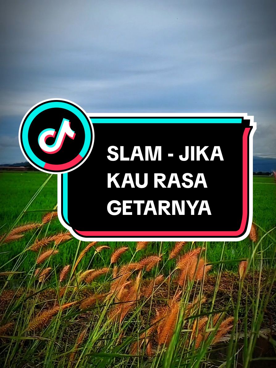 #jikaKauRasaGetarnya #slam #gunungJerai #sawah #bendang