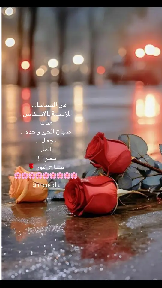 #مجرد________ذووووووق🎶🎵💞 #مجرد_ذوق #صباح_الخير #فيروز_العشق #صباحو #فيروزيات #نهاركم_سعيد 