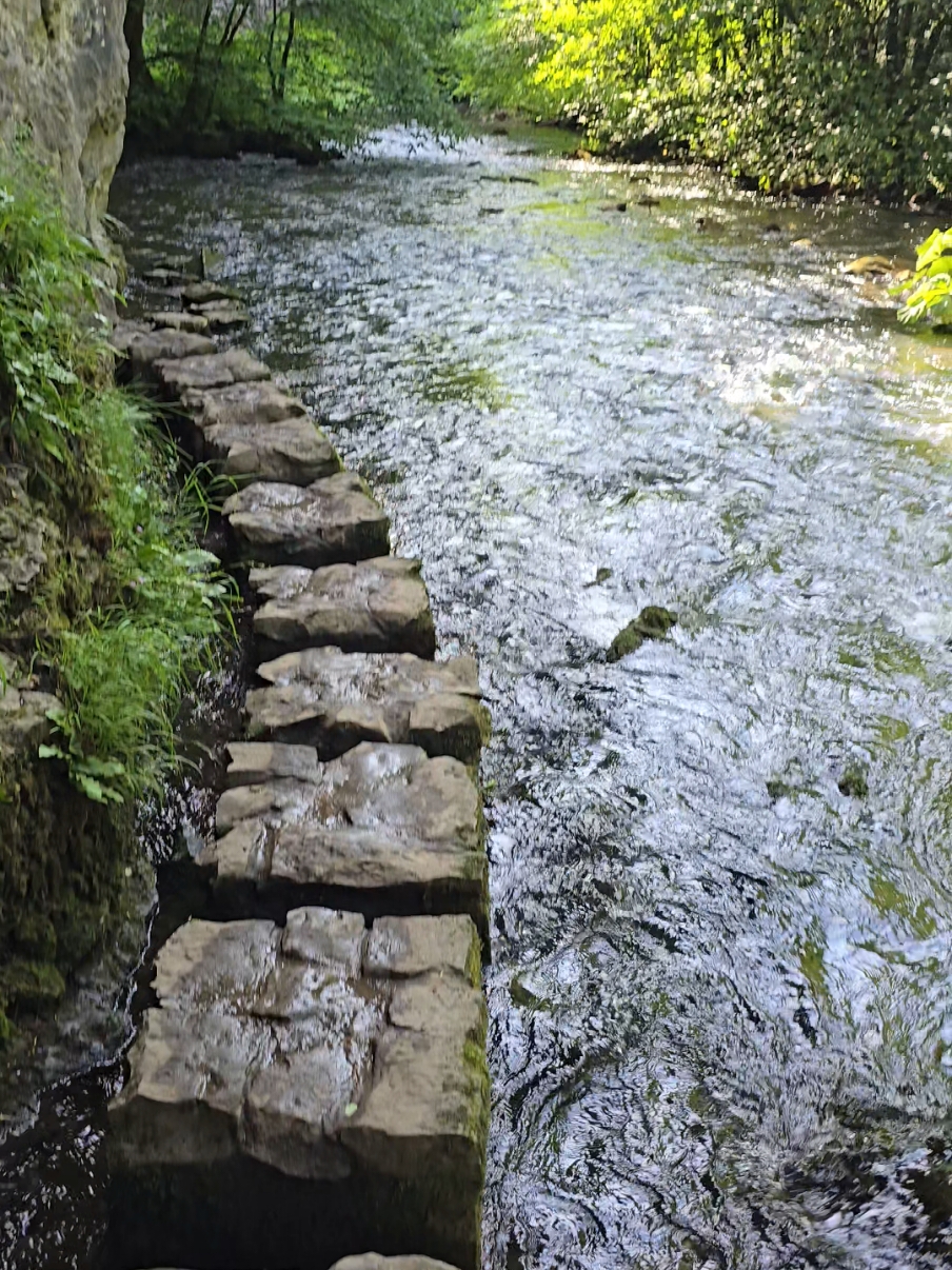 Chee Dale stepping stones (Peak District) 🪨🌳 #peakdistrict #foryou #adventure #Hiking #river #steppingstones #scenery #mountains #water #fyp #capturethemoment #UK #explore #views #nature #foryoupagе #getoutside #2024 