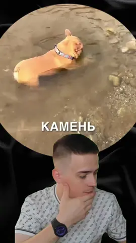 Tg: @kyrzabonus | TT: @KYRZA  #истории #душевныеистории #животные #историикаждыйдень #милыеживотные #истории #приколы #смешныеживотные