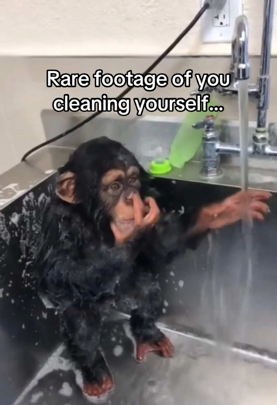 Monkey cleaning himself 🛀 #monkey #rarefootage #you #shower #friendship 