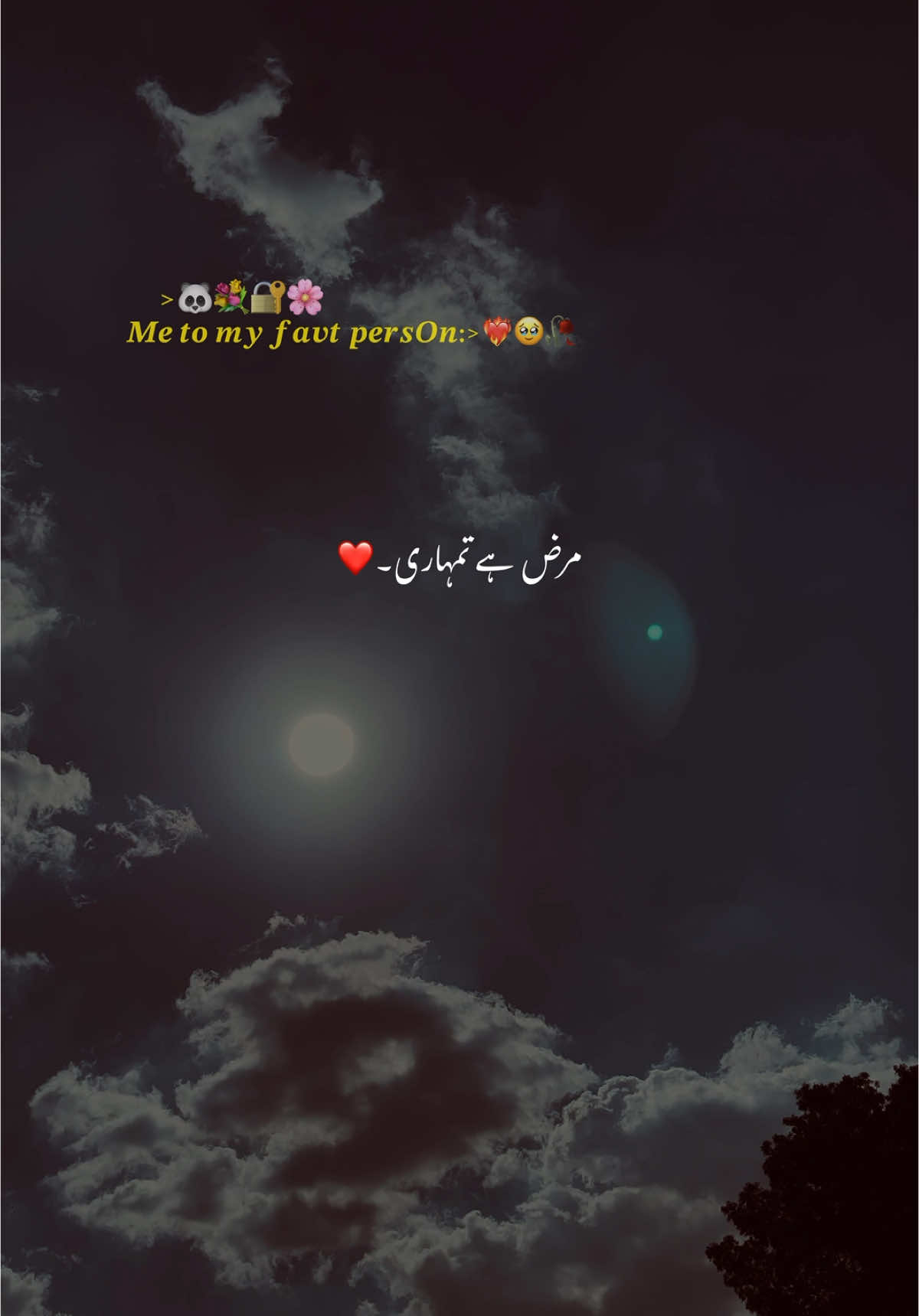 مرض ہے تمہاری❤️‍🩹🥹🐼🔐💐🥀🕊️🦋#hehe #fyp #video #urdupoetry #lines #growmyaccount #aesthetics #viral_video 