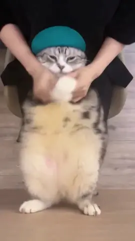 Dancying cat 😂#foryou #cat #catlover #petlover #catsdance #dancecat #foryoupage 