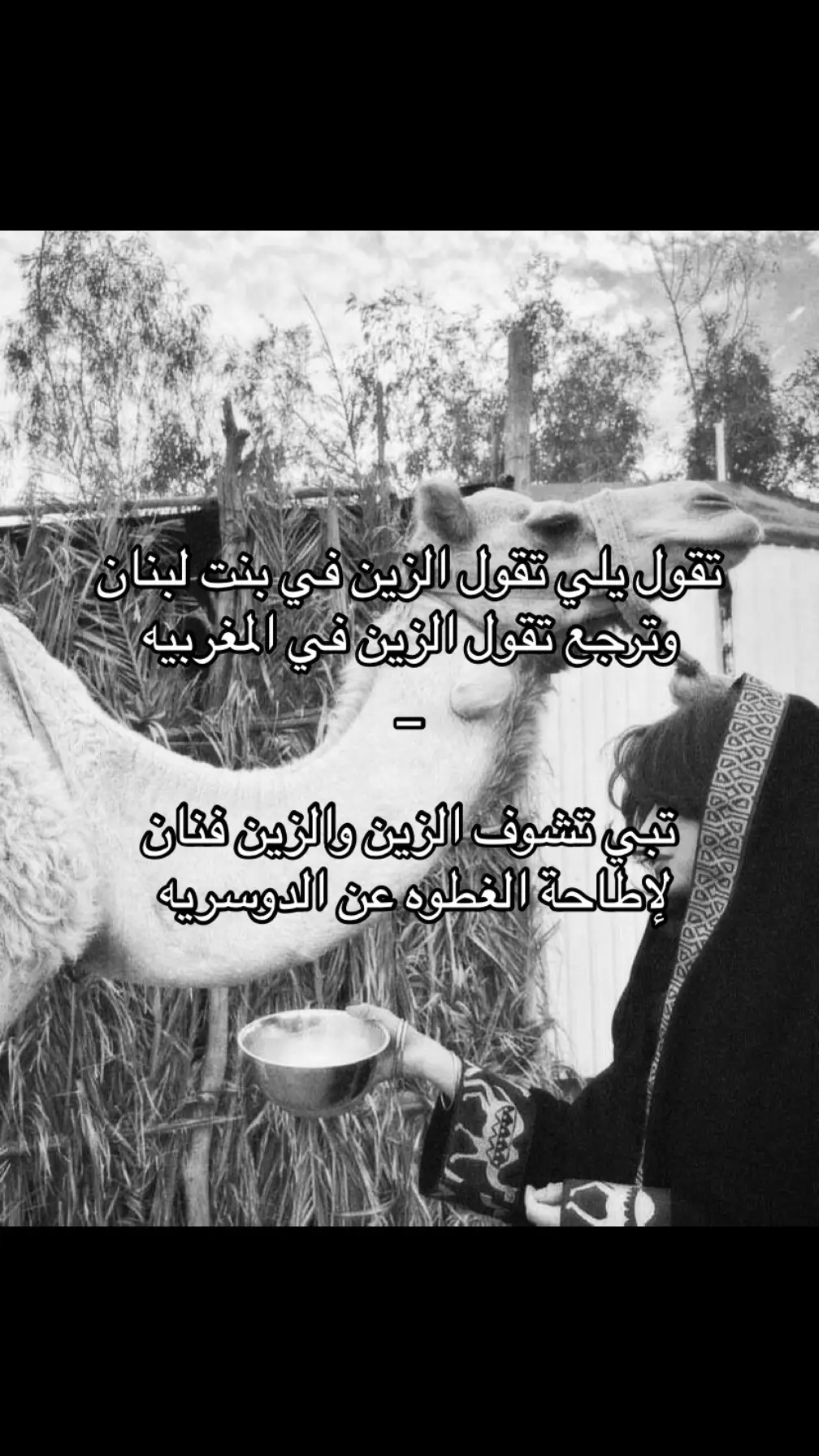 #🎀 #الدواسر 