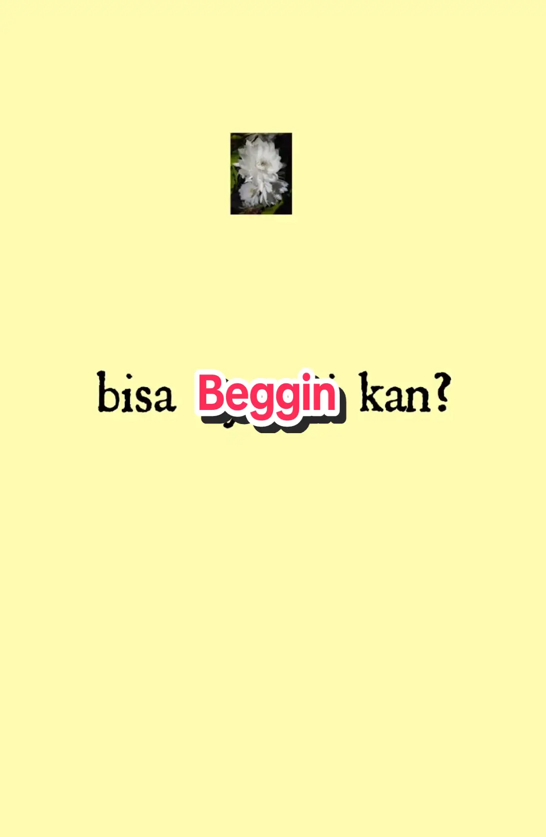 Membalas @fhalen.sznn  #beggin #maneskin #lyrics #liriklagu #english #laguviral 