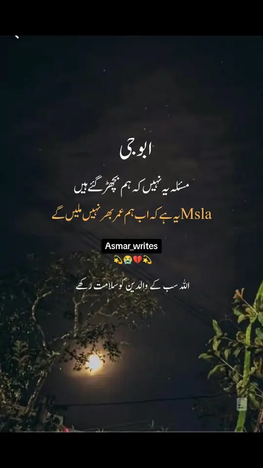 #foryoupage #fyp #urdupoetry #urdushayari #unfrezzmyaccount #foryou #asthetic #growmyaccount #standwithkashmir #viraltiktok #views #problem #millionviews #fyppppppppppppppppppppppp #fypシ #fyyyyyyyyyyyyyyyy #asmar_writes 