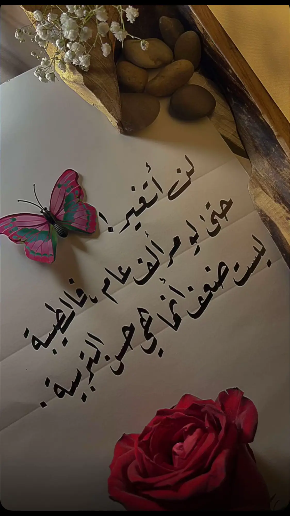 #مسائكم_سعادة_لاتنتهي🕊🎼🥀❤ #اكسبلورexplore❥🕊🦋❤🕊️،ا