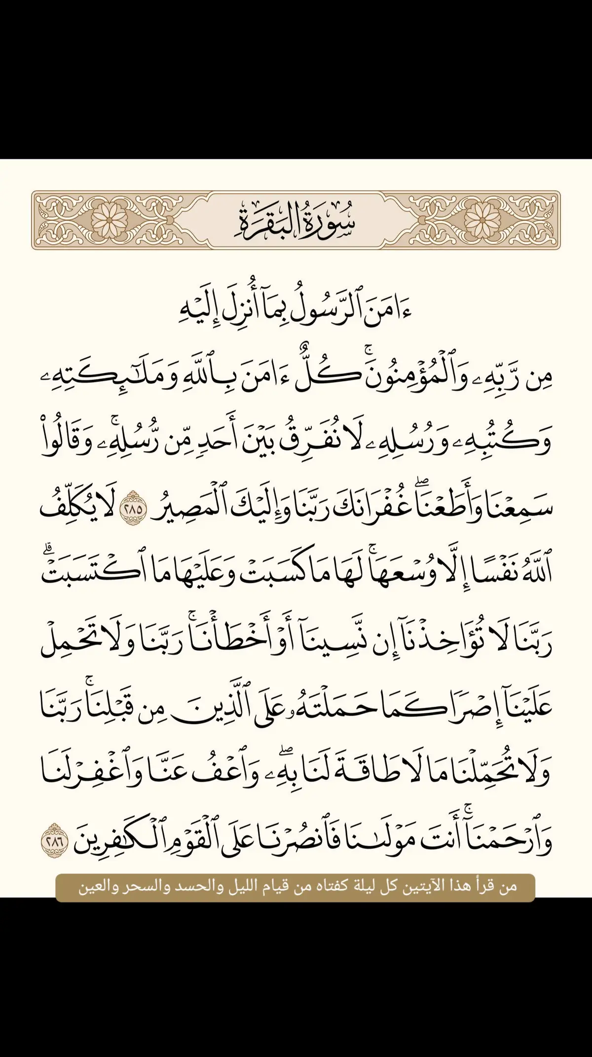 #قران_كريم #ارح_سمعك_بالقران #ارح_قلبك_المتعب_قليلاً🤍💫 #القران_الكريم_راحه_نفسية😍🕋 