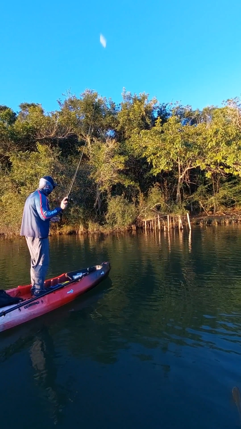 A arte de pescar fazendo skipping com muita precisão! #skipping  #pesca  #pescaria  #mira  #rio  #lago  #fishing  #fishinglure  #kayakfishing  #skills  #accuracy  #sniper 
