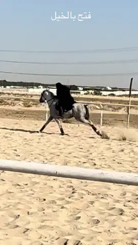 الانطلاقات مع مرجان غييير ♥️ #ما_شاء_الله #خيل_وخياله🐎 #ركوب_خيل #خيل #CapCut 