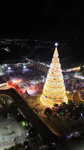 Tagum city holds the biggest and the tallest christmas tree in the philippines