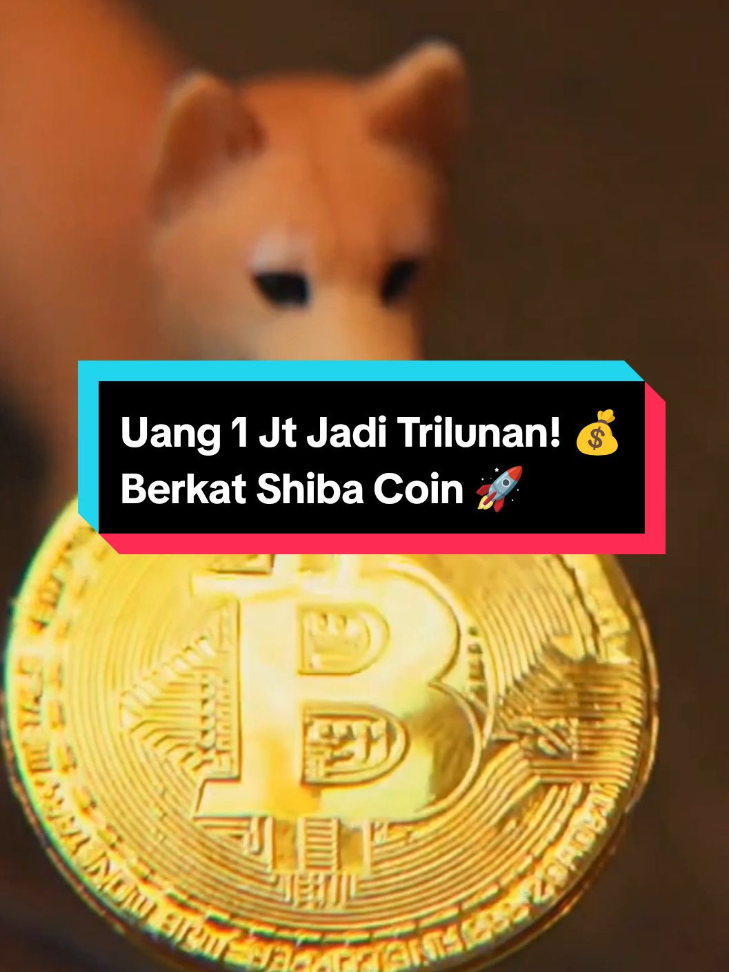 Rp 1 juta jadi Rp 1,57 triliun setahun! Meme coin naiknya gila-gilaan. Mau bahas koin apa lagi? 🚀🔥 #ShibaInu #Crypto #FYP 