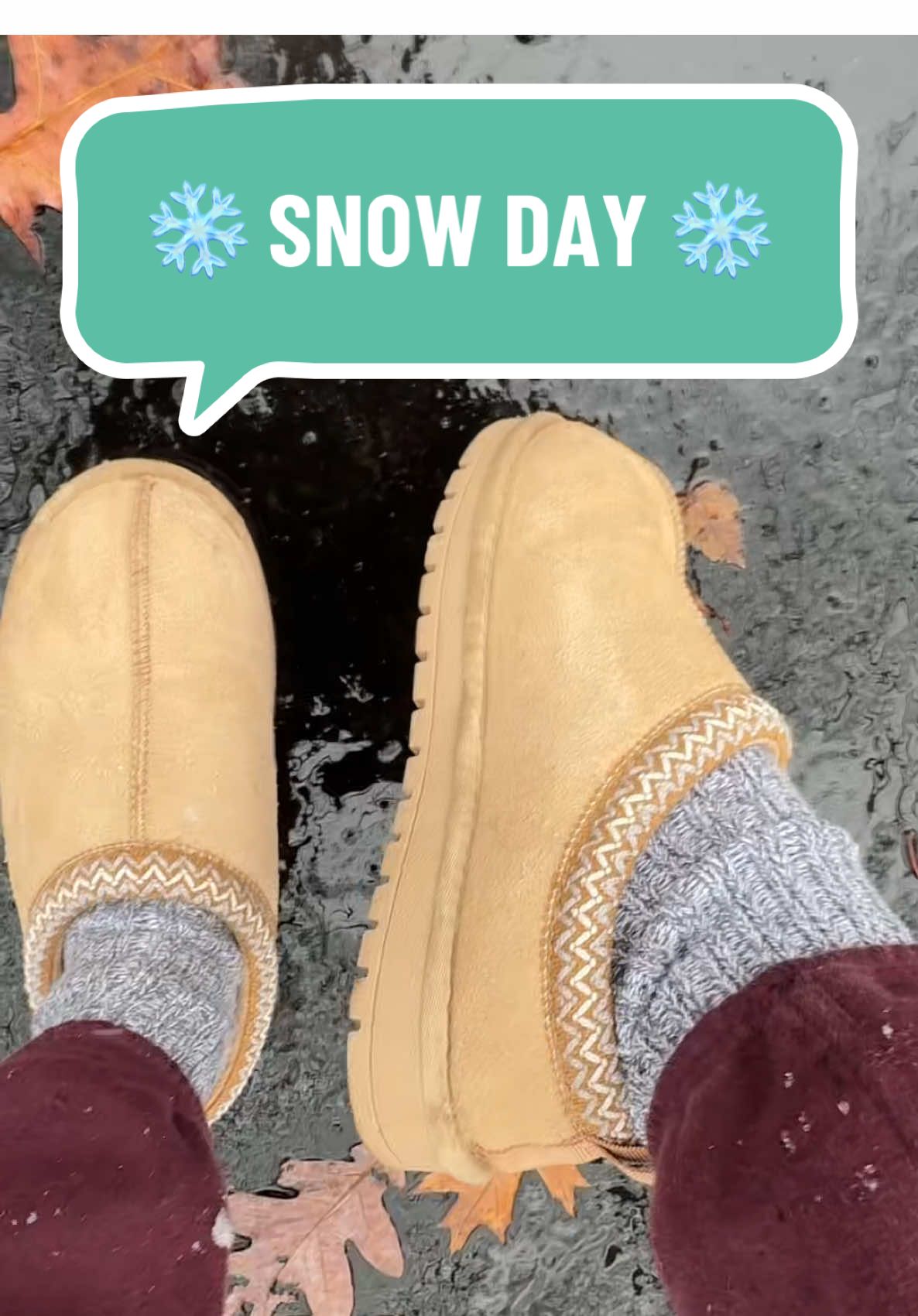 As someone who was born and raised in FL, I will never get used to a beautiful snowy morning! Its so magical. My @EVELLYHOOTD US slip ons are perfect for this weather! They keep my feet warm and protected ❤️ #outdoorslippers #wintershoes #evellyhootd #evellyhootdslippers #trendyslippers #fallfashiontrends #womensslippers #platformslippers #waterresistant #tiktokshopfinds #cozyvibes #snowfall #snowfalling 