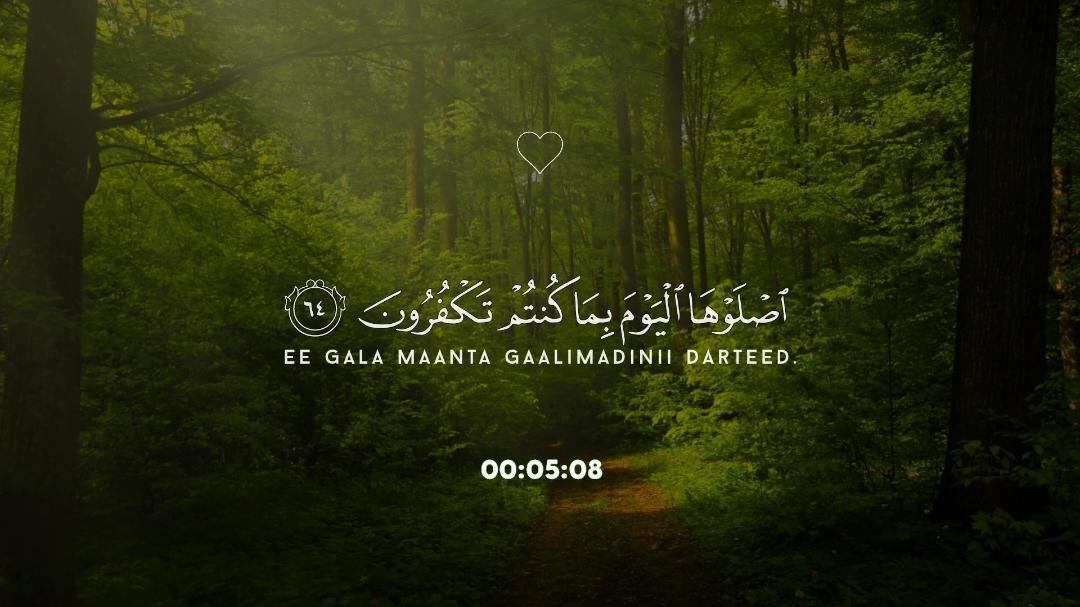 اكتب شيء تؤجر عليه ❤️#quran #قران_كريم #fyp #الشيخ_المحيسني #جزاكم_الله_خير 