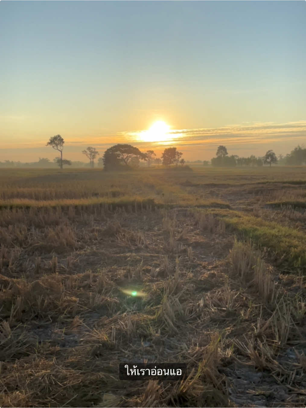 สู้อีกนิดก็ได้กลับบ้านแล้ว❤️🤍🌾🌾#เทรดเพลง #fyp #ยืมลงสตอรี่ได้ #สตอรี่ตามทุ่งนาปี2 