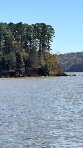 Reminds me of “The Notebook”scene at the lake 🦢 #iykyk #thenotebook #thenotebookedit 