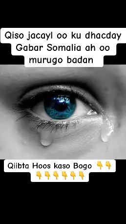 Asc Million Message Ani waxan ahy gabar da yar sand kaygana wa 17 Runtii nolsha wan ku fashilmay waxan daremy naftayda inaysan ka helin waxy nolOsheda ugu jeclayd adunka 2022  bishi 10 sanad kaygana u aha 15 waxan isbarany will wxu aha wil ad uqurx badan hadana akhlaq le runti ani saaaid iso jitay lkin dhaqso ma jeclanin doqayga unba aha lkin asa ijeclady waxan daganahy marka itoopiya gar ahn qabridahar tuulo hos imato isku Mel mana jogin asi marku karinbicile danyahy ane waxn daganhy qolqolaw waxa lo kala socon 1 hr wuxu   lasaxiby wallkey wallkey tagsi ayu laha malinkaste wu so raci jiry sifo uu ani  ii arko asagon manta I arkin musan jogi jirin mudo 3 bil marku sa aha  wallkey iigadi telephon wuna lasocon jiry o wuu lasaxibybo 1 bil markan haysty telephon ki wuu iso qabty wuxuna iga codsady xirir wan is bojeyey wana diday mudo I calacly kadib wan aqbaly ilen doqayga aha  o kama marmi karyn 2 bil marka wada  socony jjacyl iyo naxaris ii muujiyay lkin ani madaren sin jirin jacyl ka an uqabo inkasto wali saaid ujeclanin u asaga ku badna jacyl ka haben walbo wan kulmi jiry anago is aragna masexan jirin cidayda way ogaden sababto ah haben walbo cida igu iman jiry ugu danbayn Anaga so guuray waxana uso gurAy kinya waxana imany dhagahley ani marka hal isbuc hadalkisa wayey wan xanunsady xanun an dawdisa lahyn o qof walbo ila yaban yahy sabbto saaid ujeclady marka kaso fogady her waxa gary wadadi an maraba sawirkisa ihor yaalo qof An arkaba isga umaleyo ano xanunsan ka walawalo cuntadi ka go ay sawirkisa ii aha conto hurdo io cafimad darti u silcay  maqane joga aha  sadex isbuc markan sa aha warkisa hely wu ila so hadlay wana ficnady  lkin waxan kadremay inusan ahyn wilki ijecla wan waca wa bisy wan waca lama helo telkisa wallki wacay wuxana idhahy dume iskaga samir gabar kale ku waregy e runti xanunki aya I bilawdy dhakhtar xita Lay dhigy mudo 3 bil ku jiray  waa yara ronady  lkin wali asi ubuka wallkey aya idaremy wana ushegy walhi saaid ila daremy xanun wuu iwaniyey wuxu isku dayey inu qalbiga ii dajiyo lkin ima dajin karin oo indhahyga ilin madayn waxa lay diray garissa bal ina so ficnado jawigana so badasho wan ficnady on sidi hore ka ficnady waxa lamaraya markas  2023 bishi 9 wil aya iso donty walidkayga lkin ani ma aqbalin wuxu dhahy gabadha wan la shekysa ee  isuga wan wada shekaysany waxana ushegy ina ahy qolfoof qalbi lahyn ano oyanya waliba ushegy in lay dhawcy wu ifahmy wuna iskA taky bishi 10 marki iso qabty hadane marlabad aqbaly ileen naf darti u bohol yawday  waxa ii bilawdy farxad io rayrayn mar labad hadana is badal waxan qaty go an anigo daremaya xanun inusan mardanbe kuso laban noloshayda 2 isbuc kadib uu  iso qabty lama hadlin block na wan sary runti ani waxan noqdy qolof markan arko dad isjecel wan oyaa wax yar murug hadan daremo wan oya Runtii ani sifudud kuma oyni jirin lkin asaga ibary wakhtigan an hada qorayo qoralka ilin aya iga socoto mana aqano sababta  hadad na dhawacysan maxd naxaris io jacyl no barysan mxad no silcinaysan so qalbi malehdin runti wilkas wan cafiyey lkin ma aqno sidan ku ilawi dono intan  xanunkaa daremayna wa wax  aqiro kù qoran kagana horeeyo dabady ma heshay rux  sidyda ku jecl maheshy rux sidayda ku daneya mase dareenty xanunka an daremy                  walaloyal talo isiya maxan sameya adunka hadii an dhafi wayey siden isku dhafiya ano oo  silocan ku jiro qofna lasocon karin waxa iidhanto ano dhafo Walhi aaqiro naftayda in lay cadobo hadana ka baqaynin wan ka dheeran laha waxan ahy gabar qurux ilhy siyay  raga dhan  daba cararayn sas ay tahy ani iima muuqdan qof walbana umaleya inu xumandono tan kale danbi miyay igu tahy qalbi ijecel hadi an ani qalbi uwayey naxarisna siwayey runti intan wax Jeclan wali dhab maysan arkin inta hada wax jecla waxn ini rajayna inad ku guulaysatan daradaarankaygi unbeye dad hadi aydan ilaalinayn qalbi yadoda haku abuurina jacyl hana Darren sinina naxaris 😥💔🙏