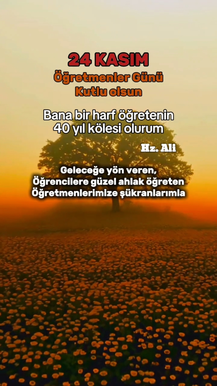 #öğretmenlergünü #24kasımöğretmenlergünü #öğretmenlergününkutluolsun #öğretmenler #öğretmenlergünühediyesi #24kasımöğretmelergünükutluolsun #24kasım #keşfetteyizzz #CapCut 