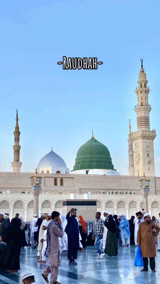 Assalamualaika Ya Rasulullah #raudah #nabawi #medina #nabimuhammad 