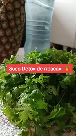 🔥Suco Detox de Abacaxi🍍  👉🏻Ingredientes: • 750 Ml de Água  • 2 Rodelas de abacaxi  • 1 maço de Salsa Fresca  👉🏻Modo de Preparo: Bata tudo no liquidificador  Você já tomou esse Suco?🤔 #detox #receitas #motivação 