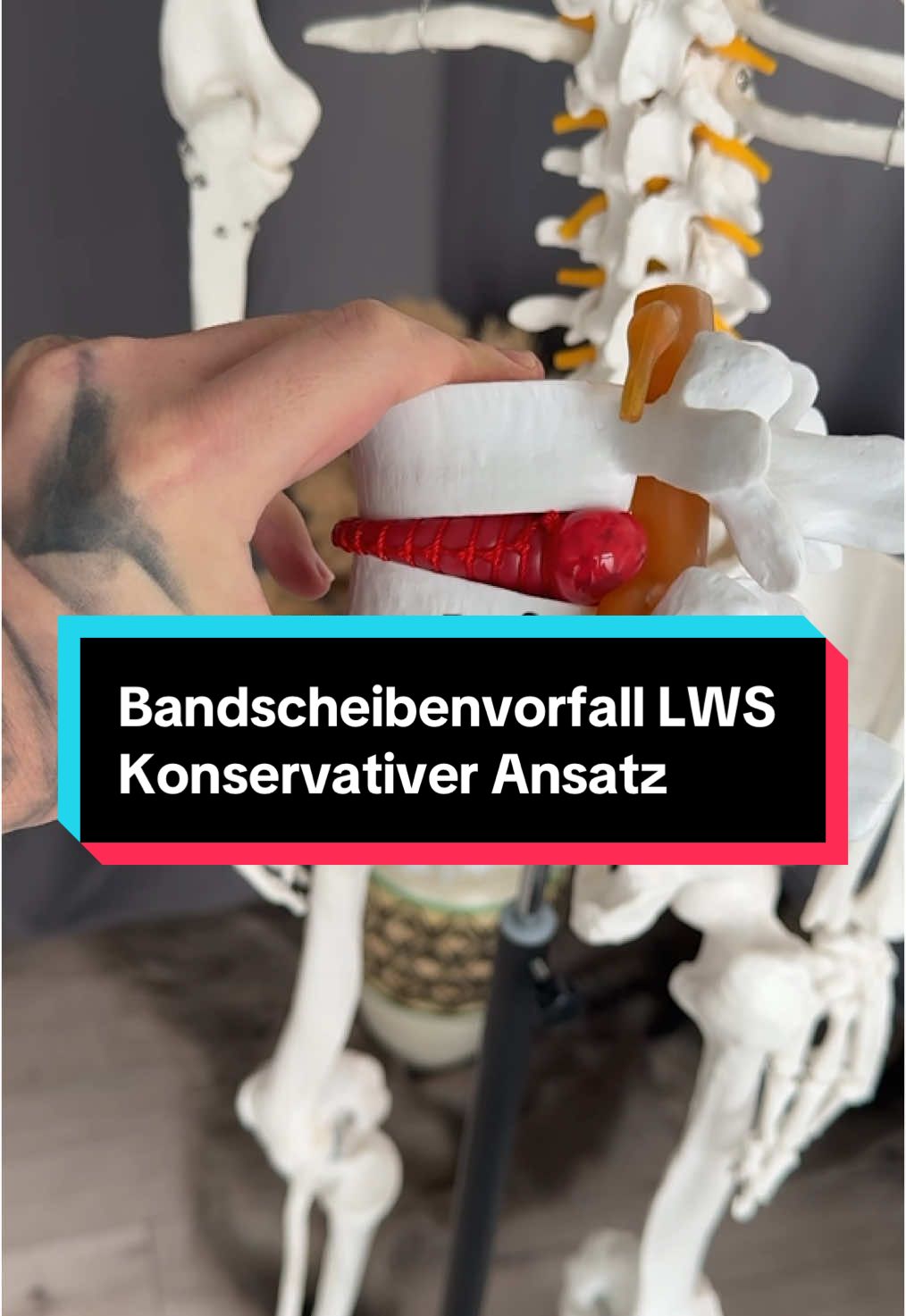 Willst du wissen wie Bewegung wirklich funktioniert?– und wie du Kraft, Beweglichkeit und Stabilität bei dir am ganzen Körper selbst testen und gezielt verbessern kannst, dann habe ich etwas für dich: Der KörperKompass – ein Videokurs, der dir zeigt, wie dein Körper funktioniert und wie du dieses Wissen praktisch umsetzen kannst. Du lernst die Grundlagen von Anatomie und Biomechanik so, dass sie für dich verständlich und direkt anwendbar sind. Zur Feier des Launches gibt es einen exklusiven Rabatt (so günstig wird es nie wieder sein!) und besondere Boni, die du nicht verpassen solltest. 💬 Klick dafür auf den Link in meiner Bio, oder schreib mir eine Nachricht mit 