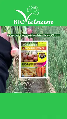Bio siêu to củ hứa hẹn sẽ là sản phẩm giúp bà con thu hoạch được mùa vụ lớn 👏 #biovietnam #nongnghiep #xuhuong #biosieutocu 