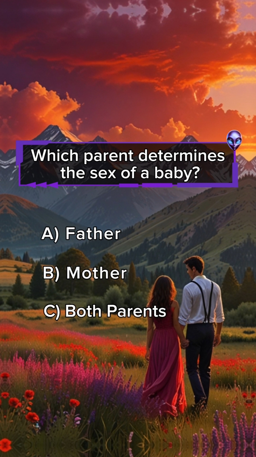 Can you get 6/6❓️ #quiz #quiztime #quizz #fyp #quiztiktok #question #answer #generalknowledge #quizzes #newquiz #safiquiz #fypシ  #quizchallenge #factualquiz 