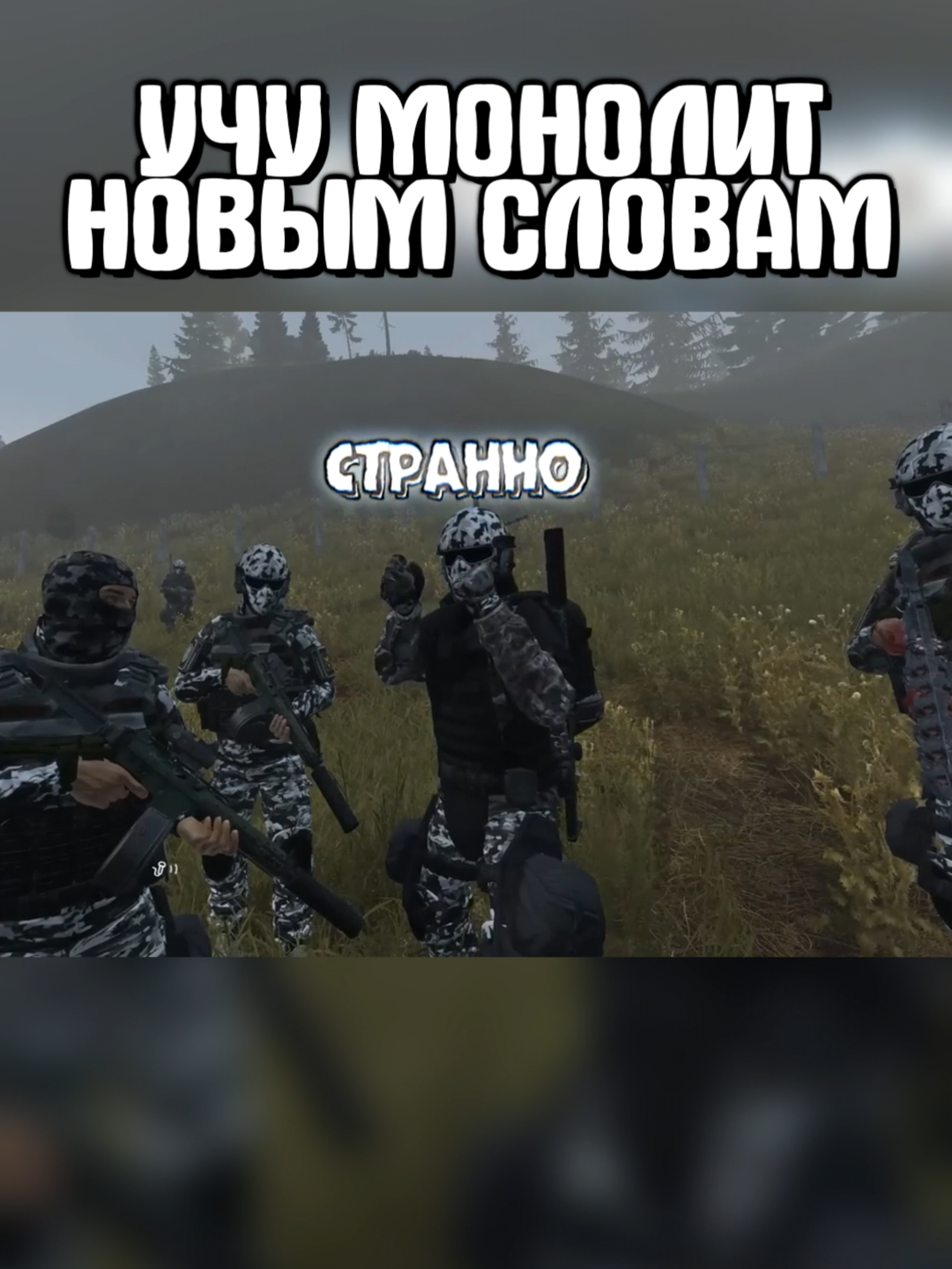 Научил монолит новым словам #stalker #stalkerrp #dayz #сталкер #сталкеррп