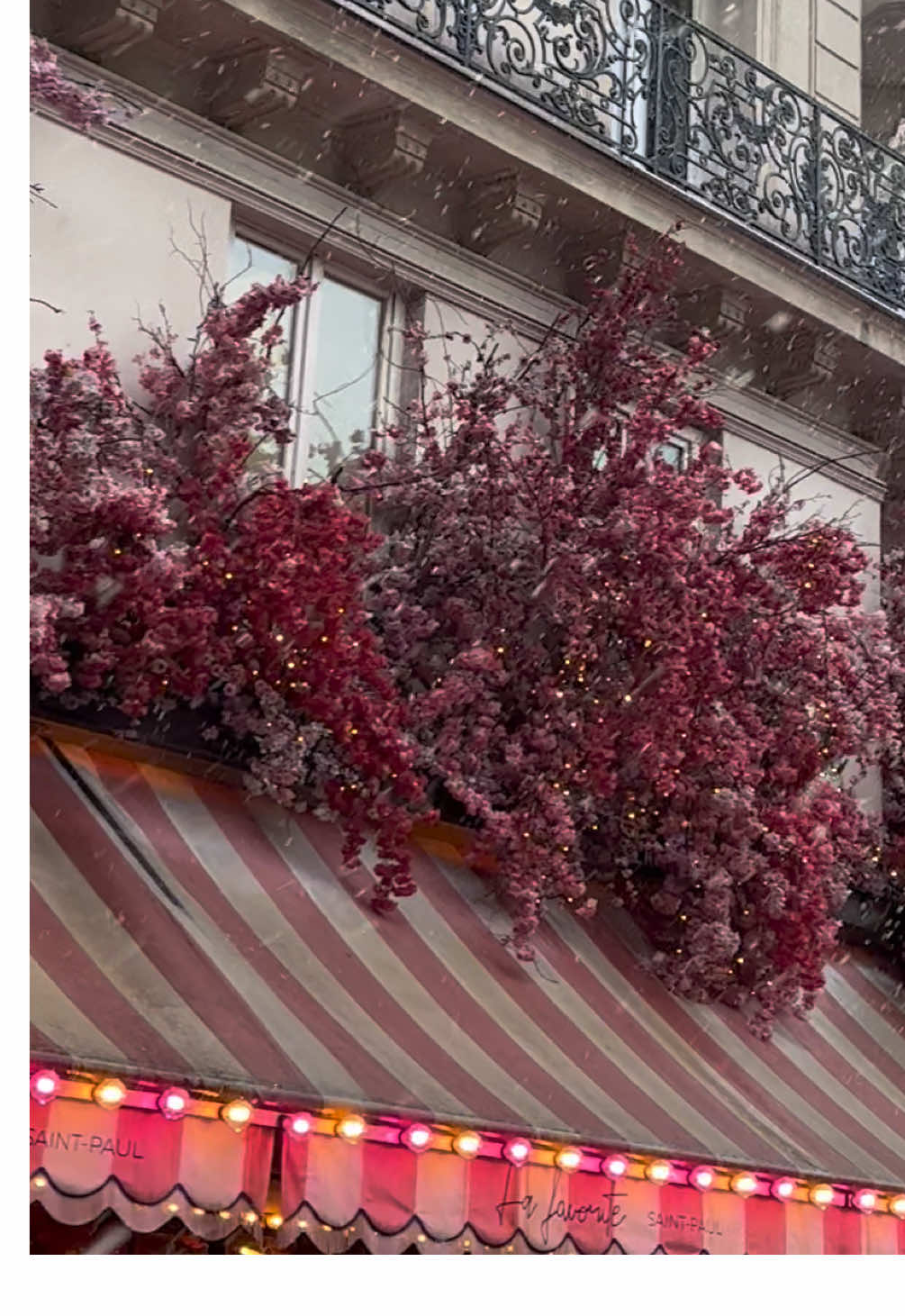 Quand il neige dans le Marais 😍✨ #paris #lemarais #pourtoi 