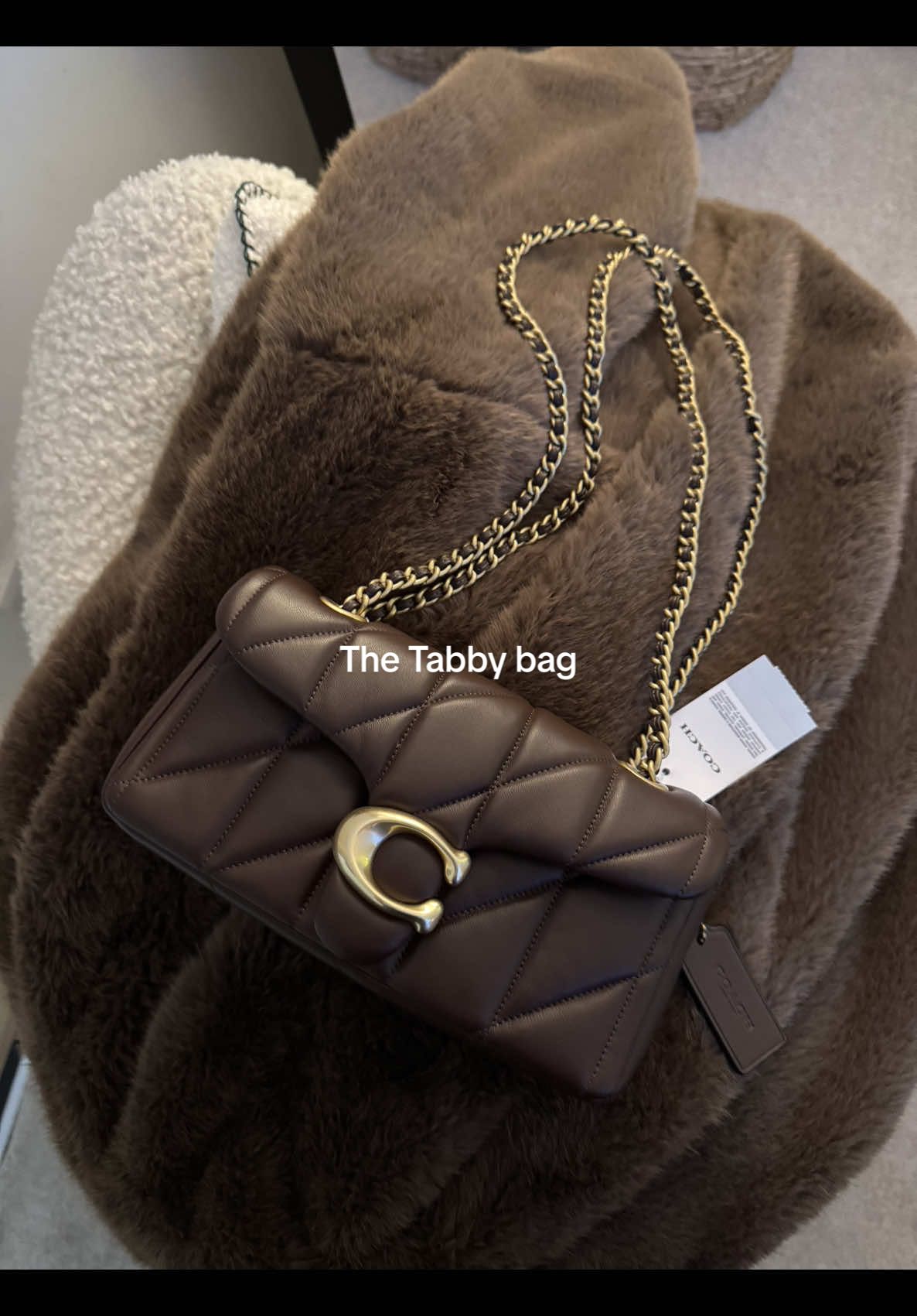 @Coach quilted tabby bag I had on my mind for way too long! 🤎🐻🍄‍🟫 #fyp #coach #coachtabby #coachtabby20 #maple #brown #brownbag #tabbybag #coachbag #colouroftheseason #chocolatebrown