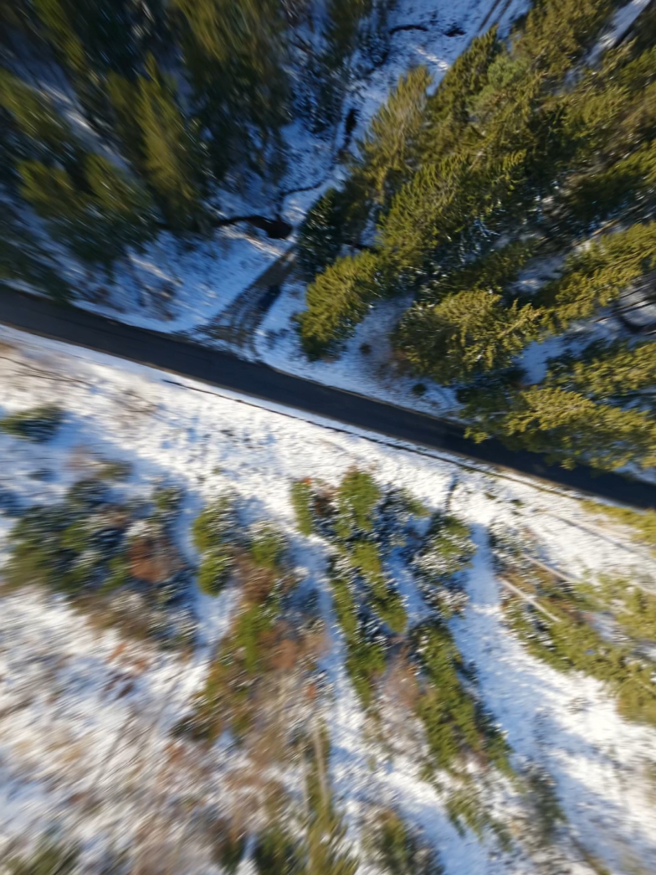 Goin` Low at the first snowy days ⬇️🫠❄️ #fpv #droneshot #forest #forestroad #tree #wintervibes #winterishere #gopro #dji #iflight #fpvdrone #firstpersonview 