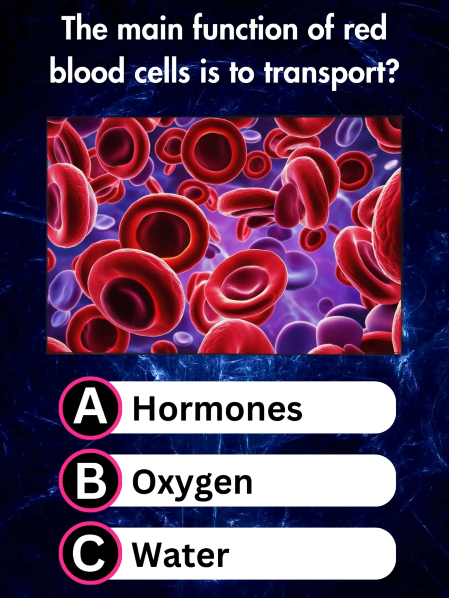 Biology Quiz 🧬🧠 #4you #fyppp #foru #foruyou #4upage #fyp #knowledge #biology #biologyquiz #nurseexam #LearnOnTikTok #quiz4brains