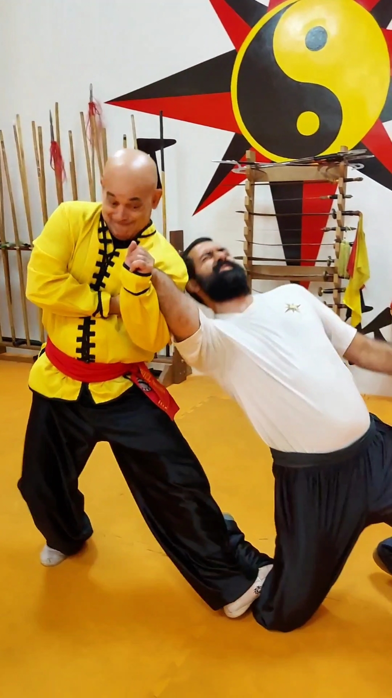 #tskf #kungfu #wushu #artemarcial #artesmarciais #defesapessoal #shaolin #chikung