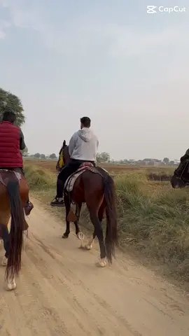 #capcut#mirza#fyppppppppppppppppppppppp #viral#viralvideo #foru#fyppppppppppppppppppppppp 