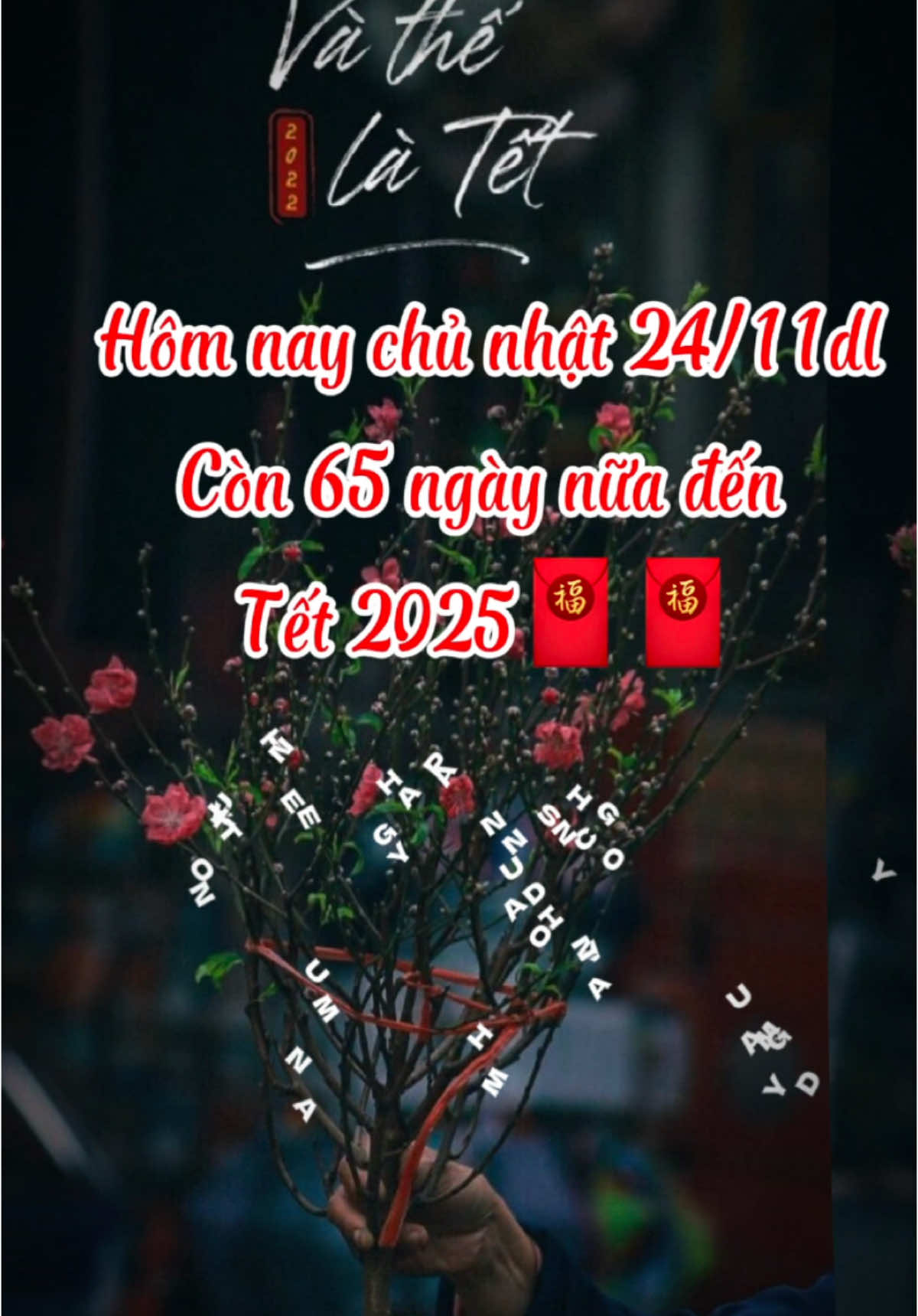 Dư được bao nhiêu rồi mn. Còn 65 ngày nữa thôi đó #tet2025 