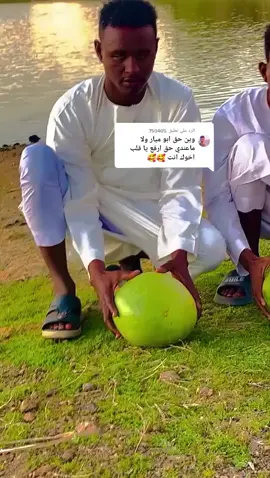 الرد على @.750405 #الشعب_الصيني_ماله_حل😂😂  العز 💪 أخوان دار جن يعني دولة  جخو الشغل دا ✌️✌️