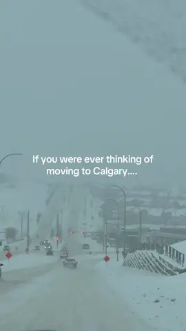 I simply CANNOT …. ❄️❄️❄️❄️ #calgary #yyc 
