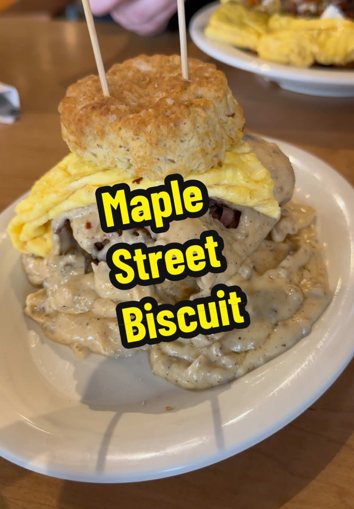 Maple Street Biscuit in Canton Ohio. #maplestreetbiscuitcompany #canton #food #breakfast #foodreview #FoodTok 