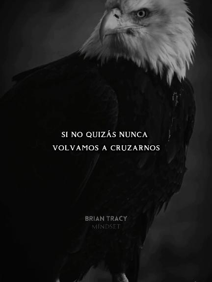 Lecciones de lealtad, amor y justicia.  #motivationalvideo #briantracy #eeuu🇺🇸 #inspiracional #parati 