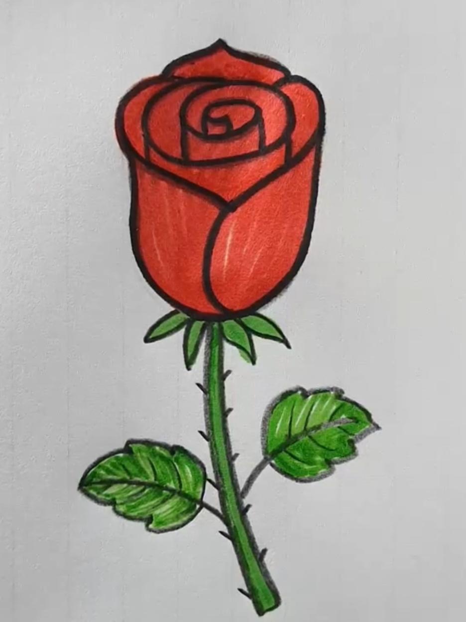 Beautiful Rose Flower Drawing Art #draw #drawing #DIY #art #viral_video #viraltiktok #ForYou #popular #drawingtutorial #drawings 