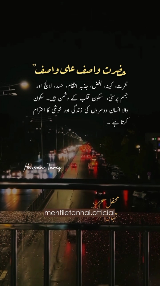 #trending #foryou #alifmeem #foryoupage #growmyaccount #mehfiletanhai #shayari #wasifaliwasif #deeplines💕😞 #sufi 