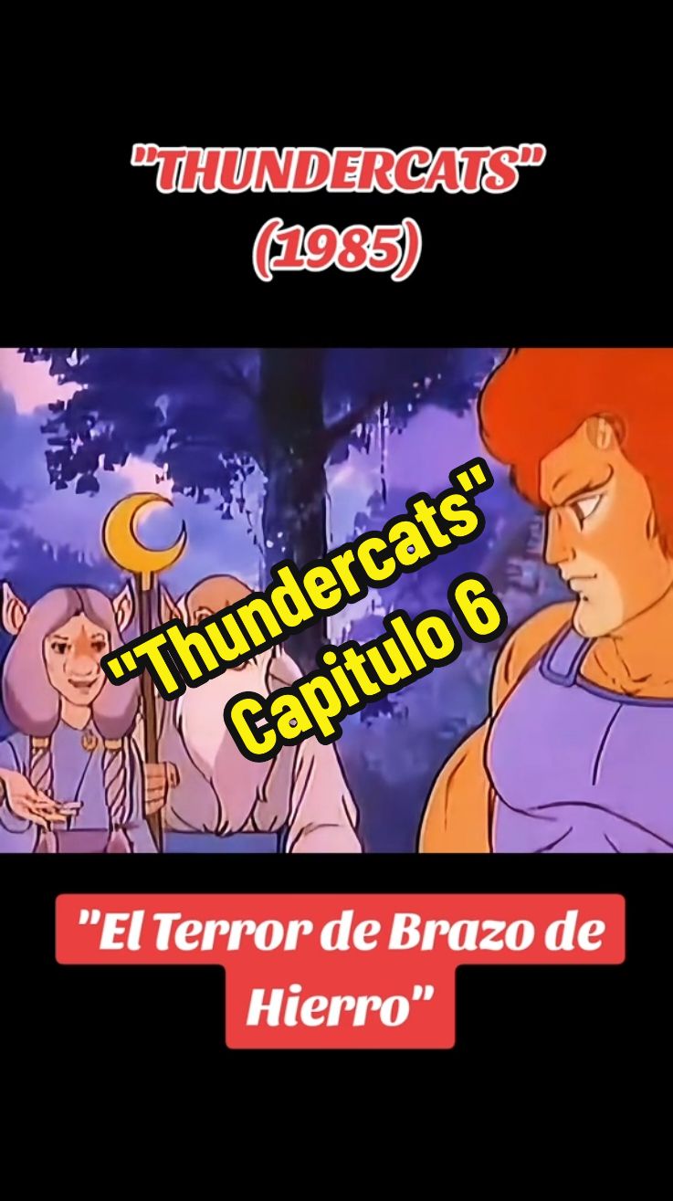 THUNDERCATS )1985). 