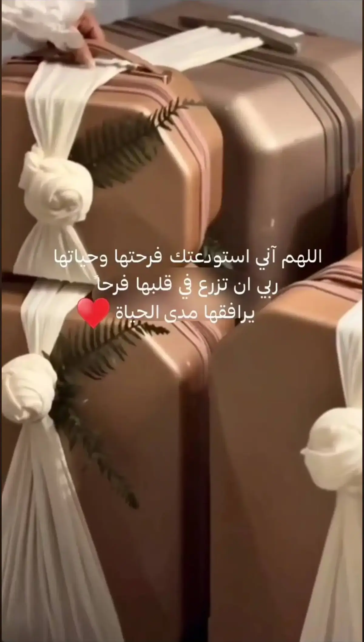 #زفات_عرايس #زفات_2024 #زفه #زفات_عروس  #زفات_اعراس #زفات_الكويت #زفات_الامارات  #زفات_عمان #زفات_قطر #زفات2024 #زفات2024 #زفات #زفات2024 #زفات #بدون   #يانظر #عيني #شيلة #اهداء #العروس #لاهلها #زفات #خاصه #شيله #ترحيبية #ام محمد| #زفة #باسم #فاطمة #2024 #زفه_باسم #اشوق #زفة #باسم #فايزه2024 #زفة #مريم 2024#زفتي2024 #زفات #تنفيذ #بلاسماء2024 #زفة #اقبلي  #جيزان #صبيه #نجران #نجران #جيزان #بيشه #الطايف #الكويت #عومان #تبوك #ابها #شاميه #الباحه #مطنيوخ #كارمن #سليمان ##زفه #راشدالماجد #زفات #محمد #عبده2024 #زفة الفنانة احلام #زفةاقبلت2024 #زفة #منى #امرشا2024 #طير #السعد #زفة #محمد #عبده #الله #عليك يا#ياحلي #عروس #زفة #سمو #الحسن #شيلة #مشتاق لك#زفات #سكاكا #زفات #جده #زفات #بريده #عنيزه #القصيم #البكريه #عفيف #الرص #بنده #موال #كوشات #الرياض #مكة #خميس #مشيط #عمان #البحرين #السعودية #قطر #الدوح #شيلة #اهداءمن #اخوان #العروس #شيله #اهداء #للخالات #زفات204 #باسم #شيله2024 باسم#شيله #ترحبيه2024 #شيله2024#ترحبيه #بلاسم #المملكه #شيلات2024 #ناصر #السيحاني2024 #شيلات2024 #يامرحبا #واليوم #زان #القصيد #باسم  #ترحيب #بلاسماء #شيلات #ترحيبية #بلاسماء2024 #زفات2024 #بدون #موسيقى2024 #دخلات #مميزة2024 #أفكار #اجنبيه #حصريه #جديده2024 #اهات  #مشيات #كلاسك2024 #زفات #سريعه2024 #زفات #بطيئه2024 #مونتاج #عرض  #بدون #موسيقى #زفات #أطفال #مواليد #جديد #زفات2024 #إهداءات2024 #تخرج #ونجاح2024 #زفات2024 #بدون #موسيقى #شيلة #شيلات #شيله #تخرج #زفات