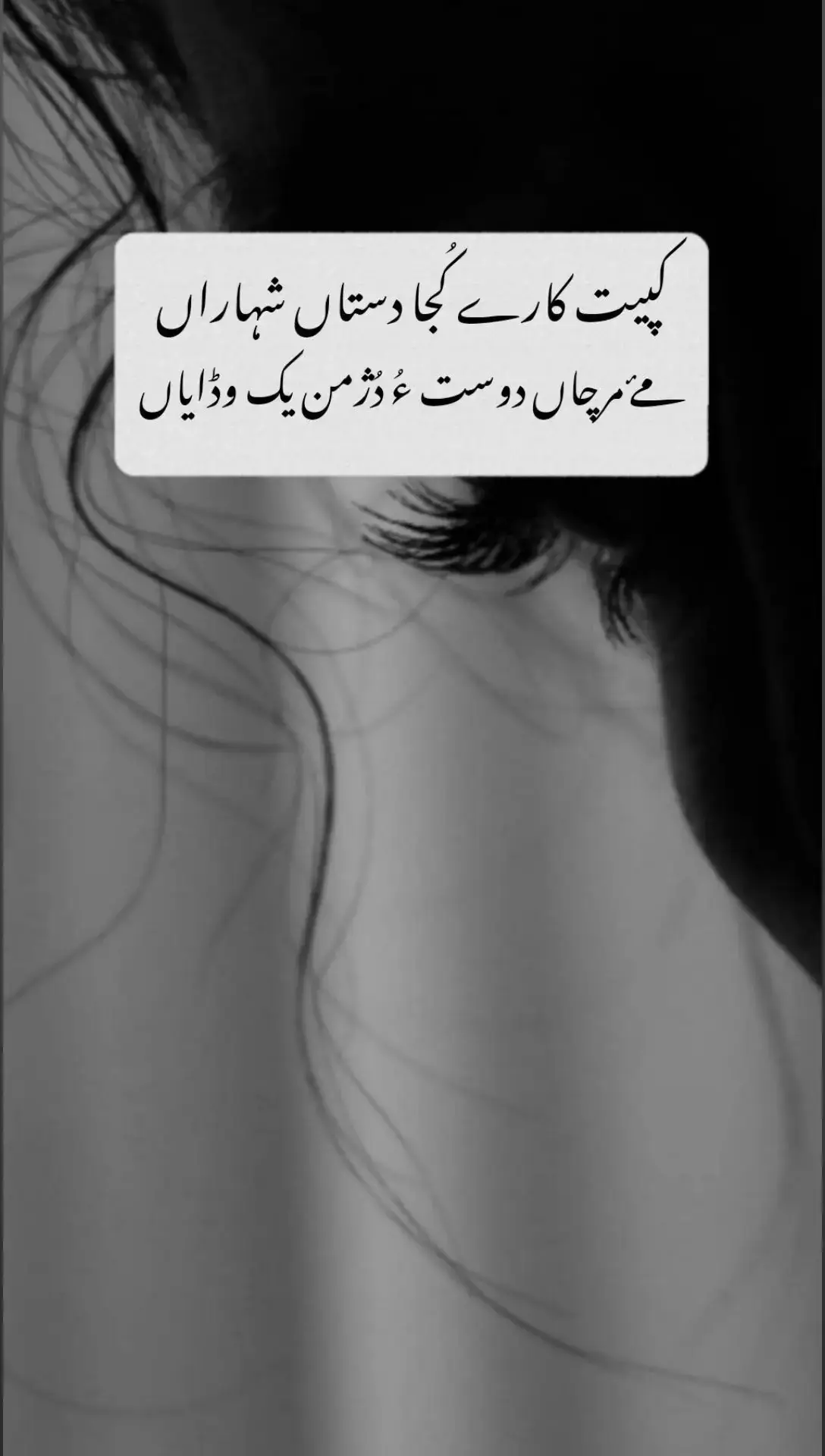 🖤🥀 . . . #baloch #foryoupage #balochiedit #balochipoetry #arifbaloch #noorkhanbezanjo #mubarakqazi #typ 