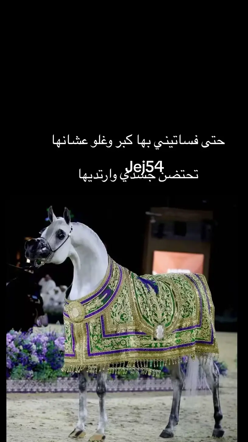 #الرياض_جده_مكه_الدمام_المدينه_أبها_الخرج #اكسبللورررررررررر #اكسبللورررررررررر #عرعر_الشمال 